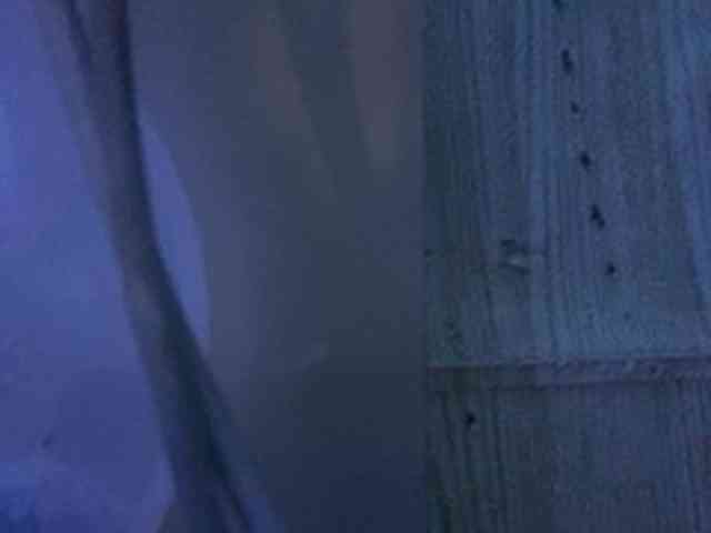 Rainie webcam