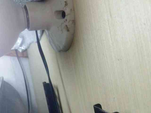 Rainie webcam