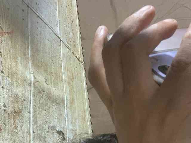 Rainie webcam