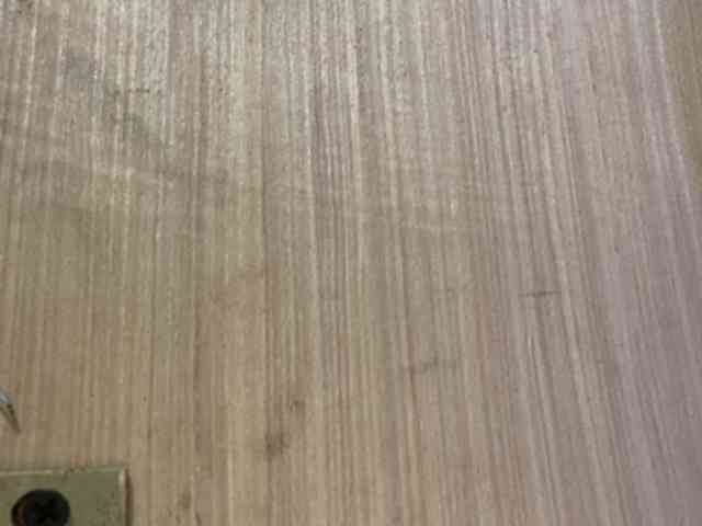 Rainie webcam