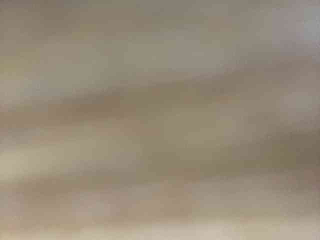 Rainie
