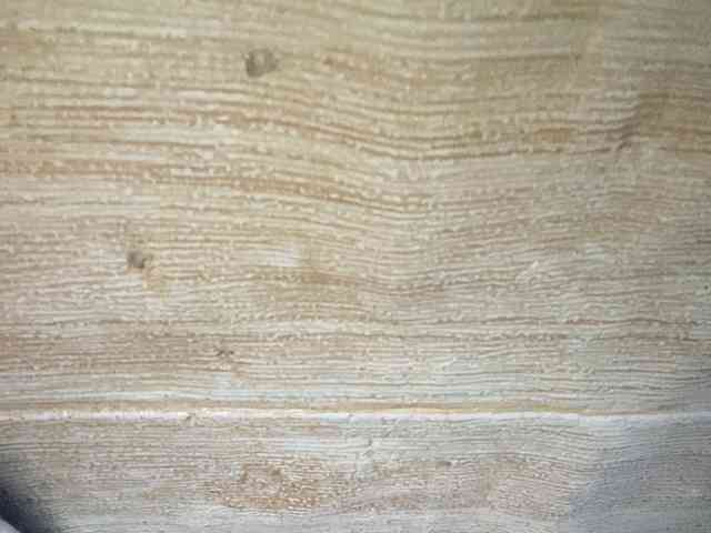 Rainie webcam