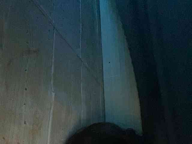 Rainie webcam