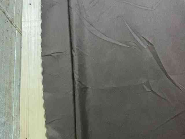 Rainie webcam
