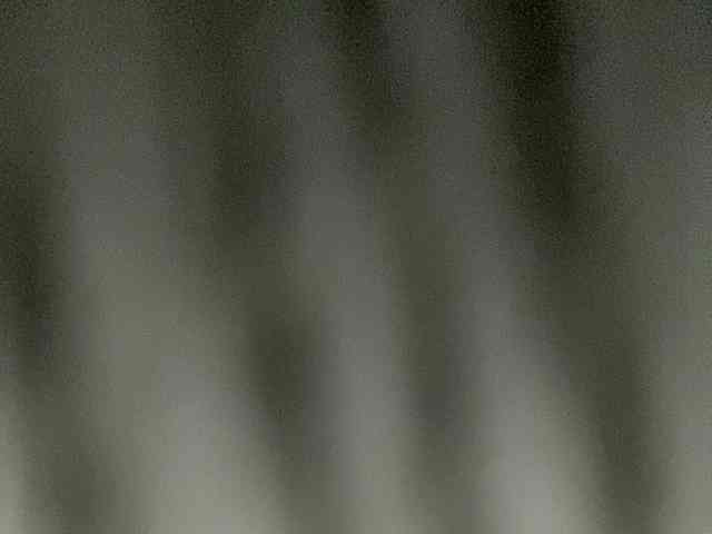 Rainie webcam