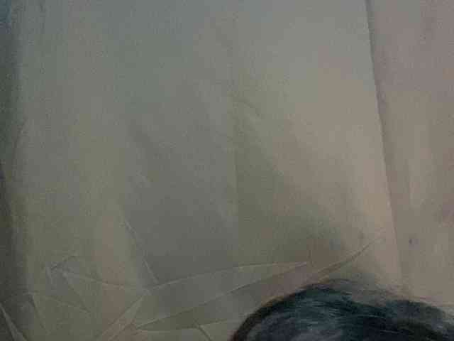 Rainie webcam