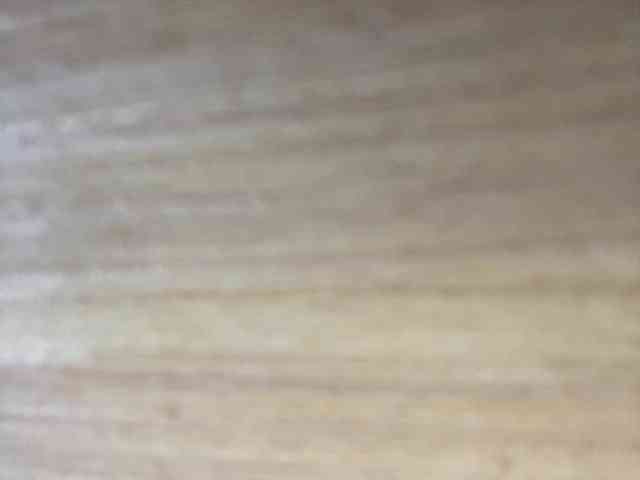 Rainie webcam