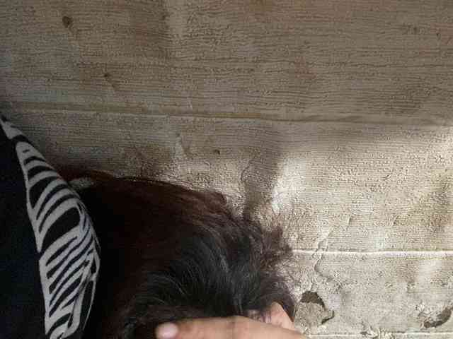 Rainie