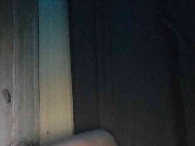 Rainie webcam
