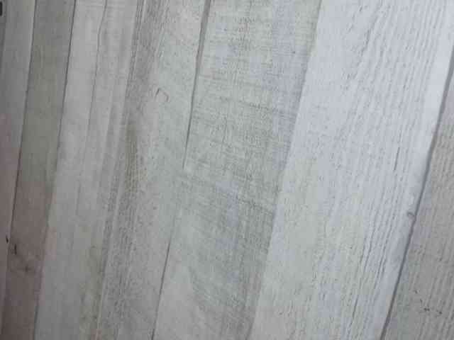 Rainie webcam