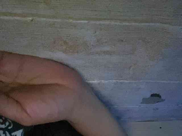 Rainie webcam