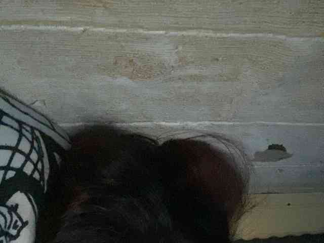 Rainie webcam