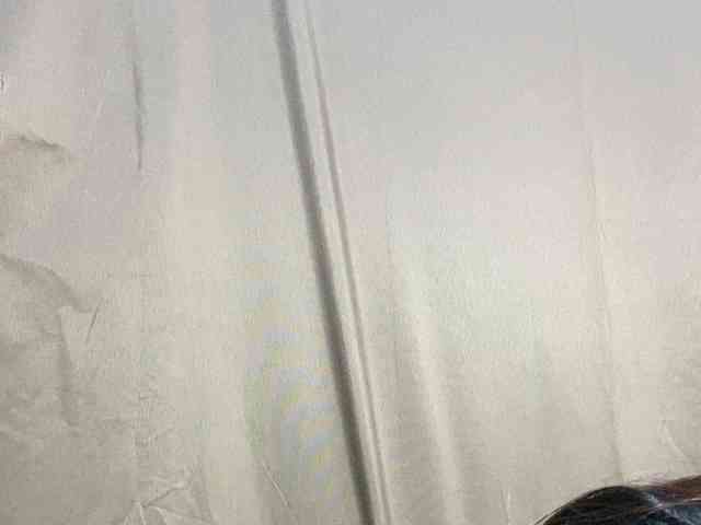 Rainie webcam