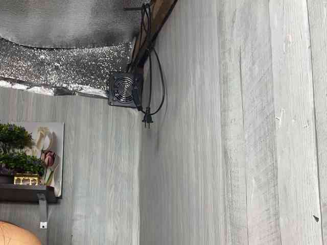 Rainie webcam