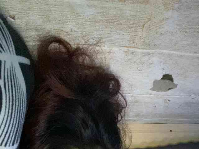 Rainie webcam