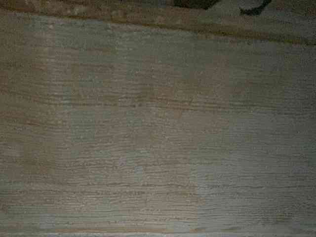 Rainie webcam