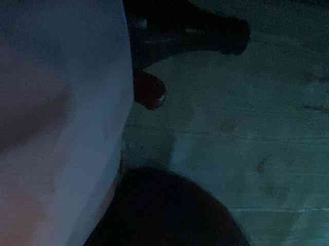 Rainie webcam