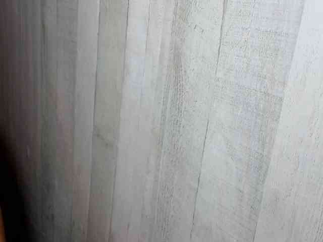Rainie webcam