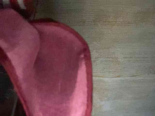Rainie webcam