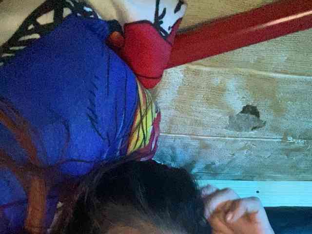 Rainie webcam