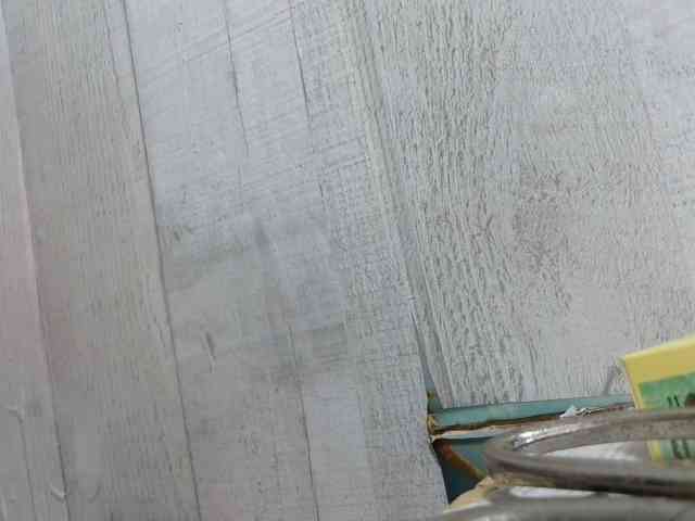 Rainie webcam