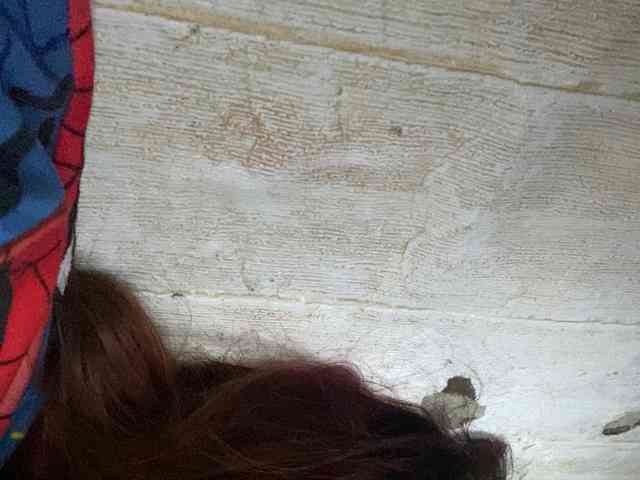 Rainie webcam