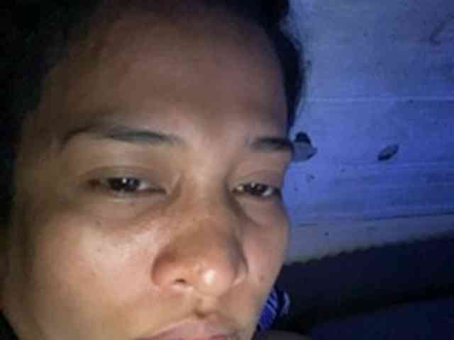 Beatrix webcam
