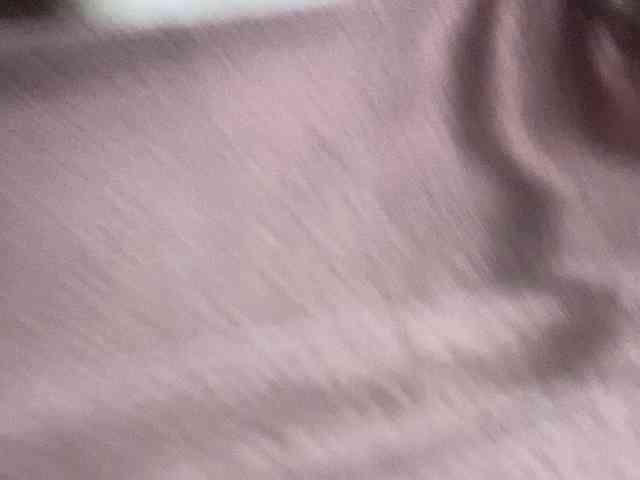 Rainie webcam
