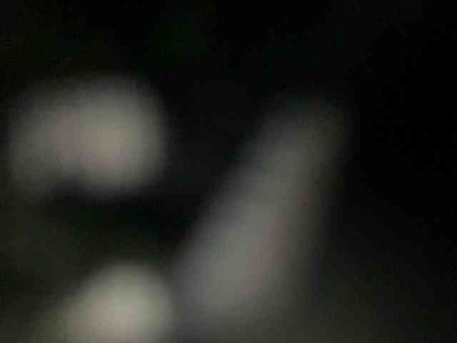 Rainie webcam