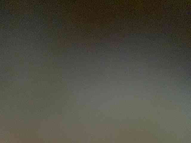 Rainie