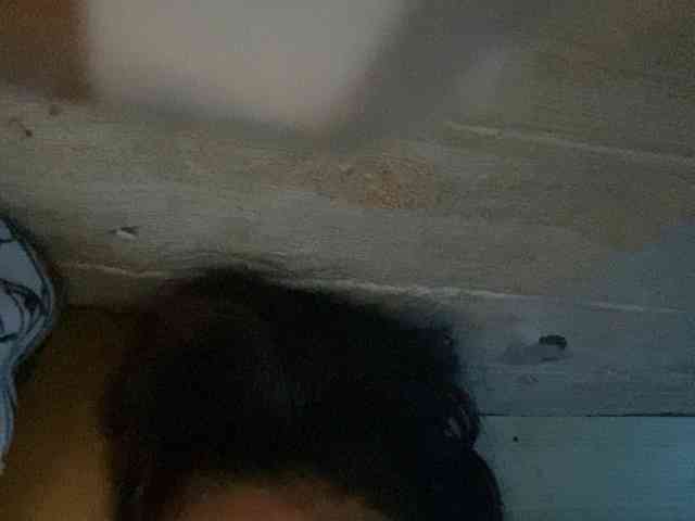 Rainie