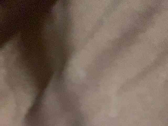 Rainie webcam