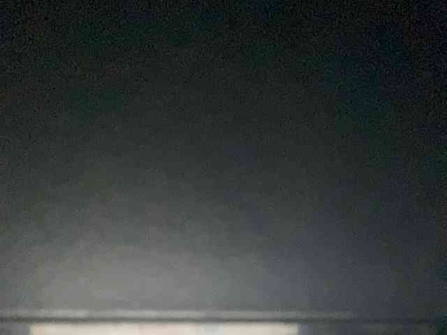 Rainie webcam