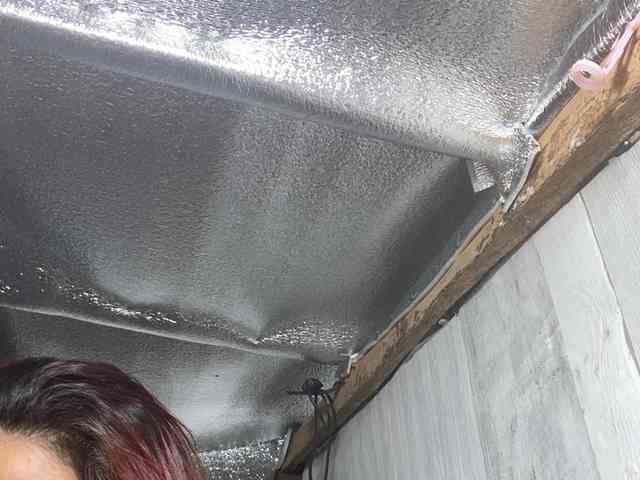 Rainie webcam