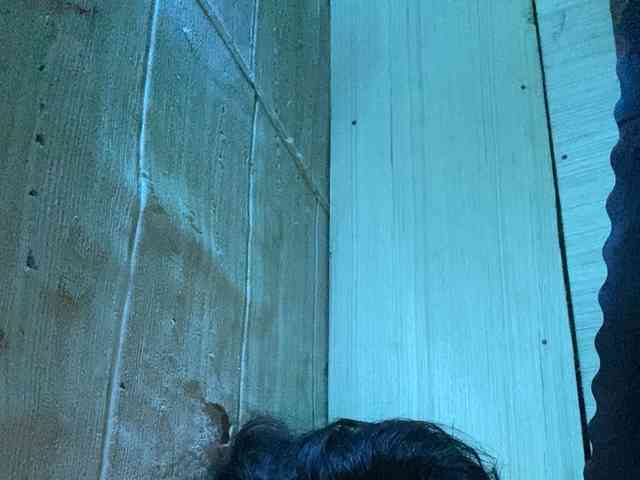 Rainie webcam