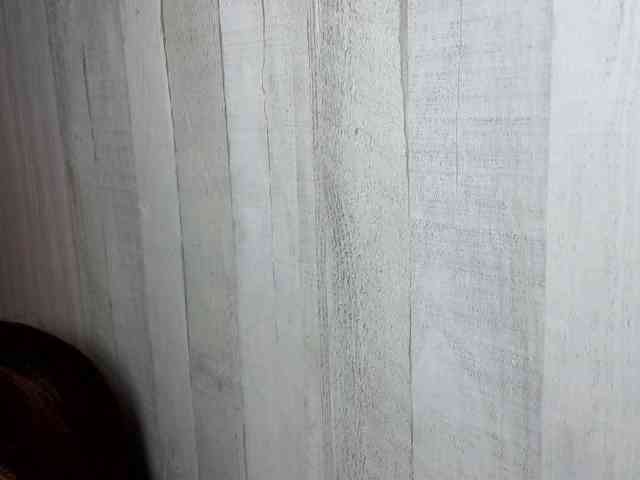 Rainie webcam