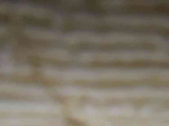 Rainie webcam