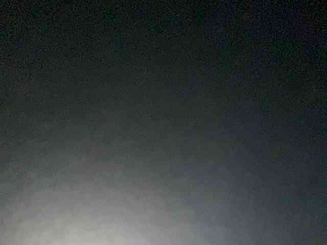 Rainie webcam