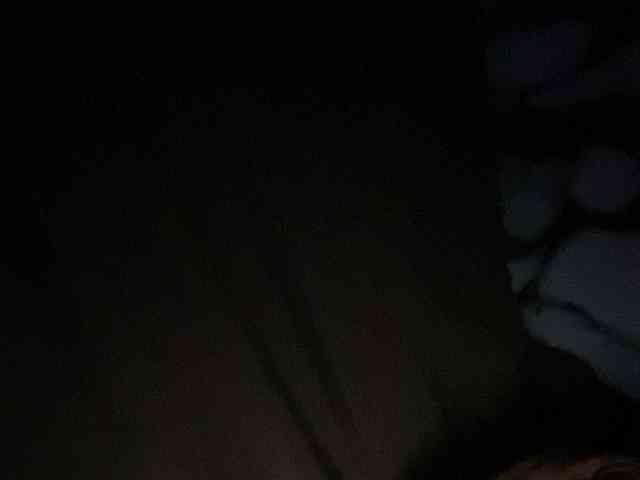 Rainie webcam