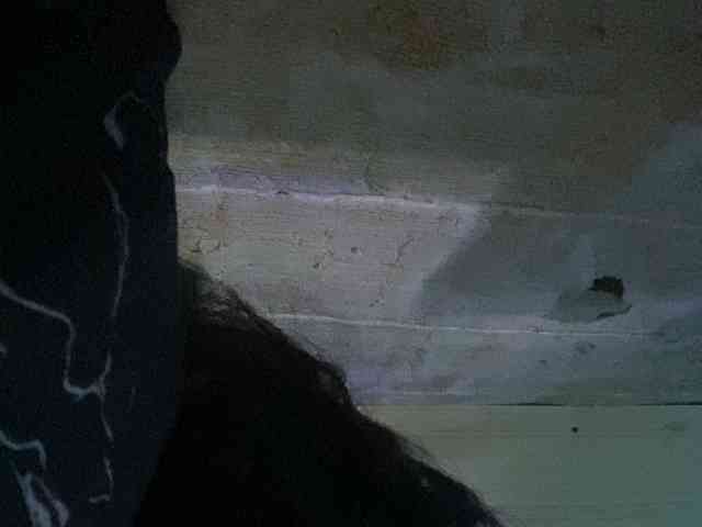 Rainie webcam