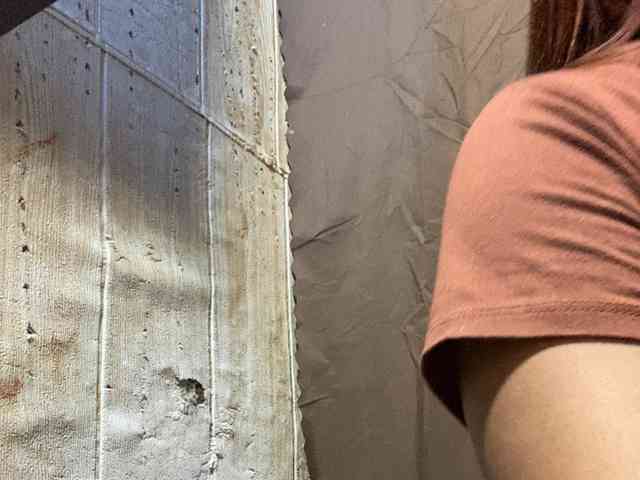 Rainie webcam