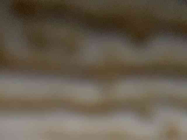 Rainie webcam