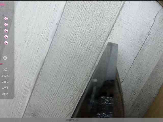 Rainie webcam