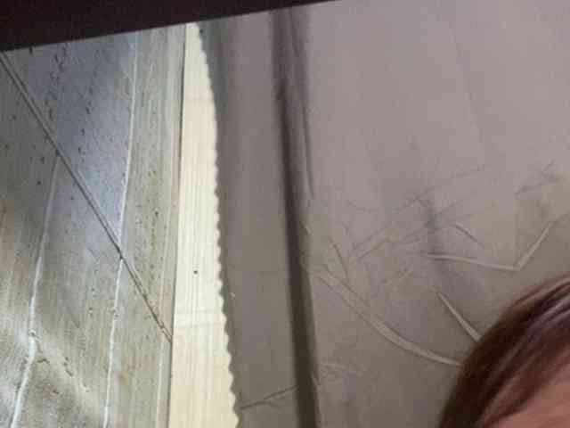 Rainie webcam