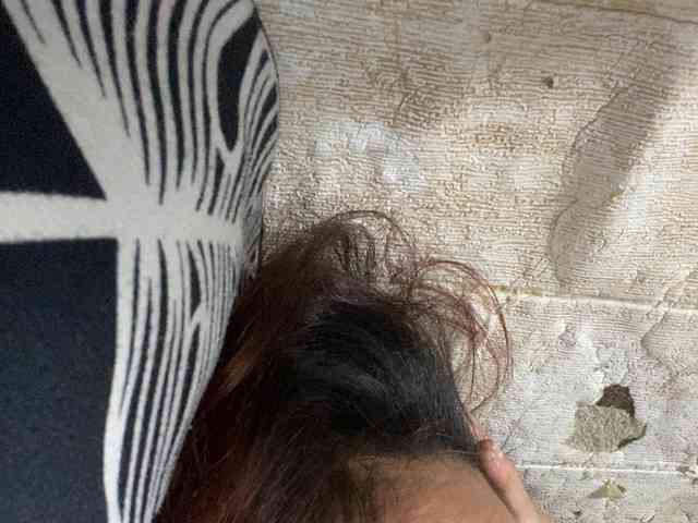 Rainie webcam