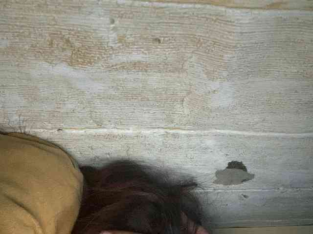 Rainie