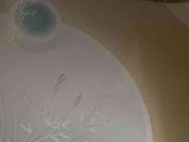 Rainie webcam