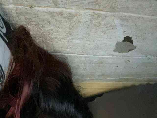 Rainie