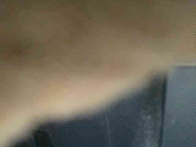 Rainie webcam