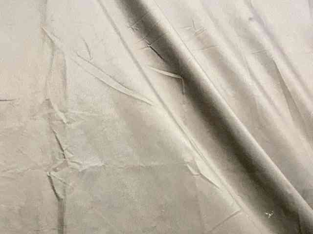 Rainie webcam